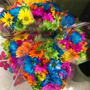 Meet your Posher, Caitlin